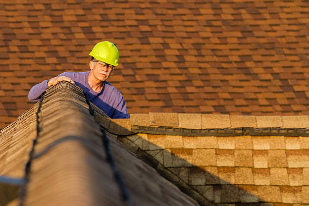 Best Roof Gutter Cleaning  in Caway, AR